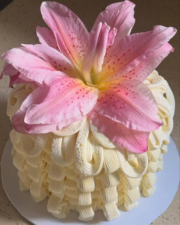 <a href="https://www.instagram.com/p/DTmV62xj6uI/?img_index=2" target="_blank">I Shouldn't Have Eaten That Cake</a>
