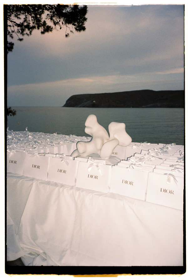 Dias De Vino y Rosas, wedding photographers in Spain, Europe — portfolio photo 2