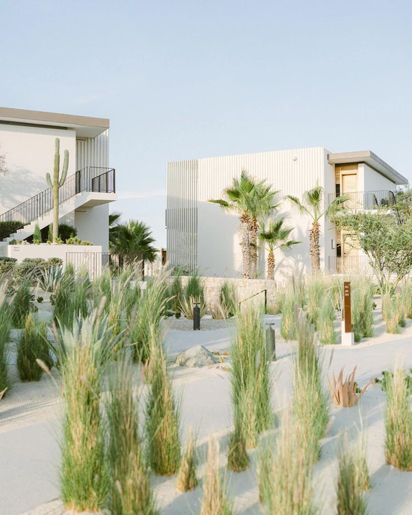 10 Best Wedding Venues in Cabo