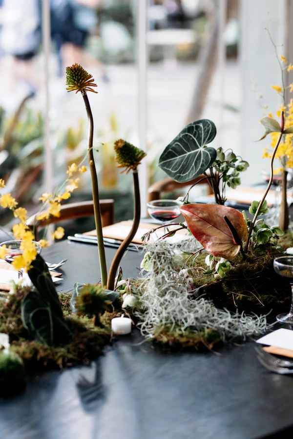 Royal Botanic Gardens Wedding Editorial