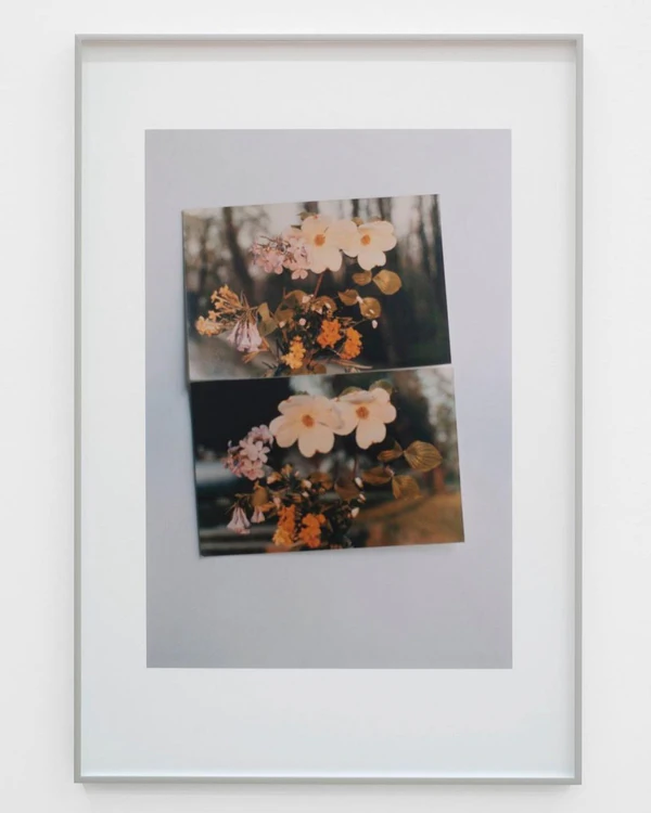 New York Art Guide: 7 Must-Visit Exhibitions This Fall