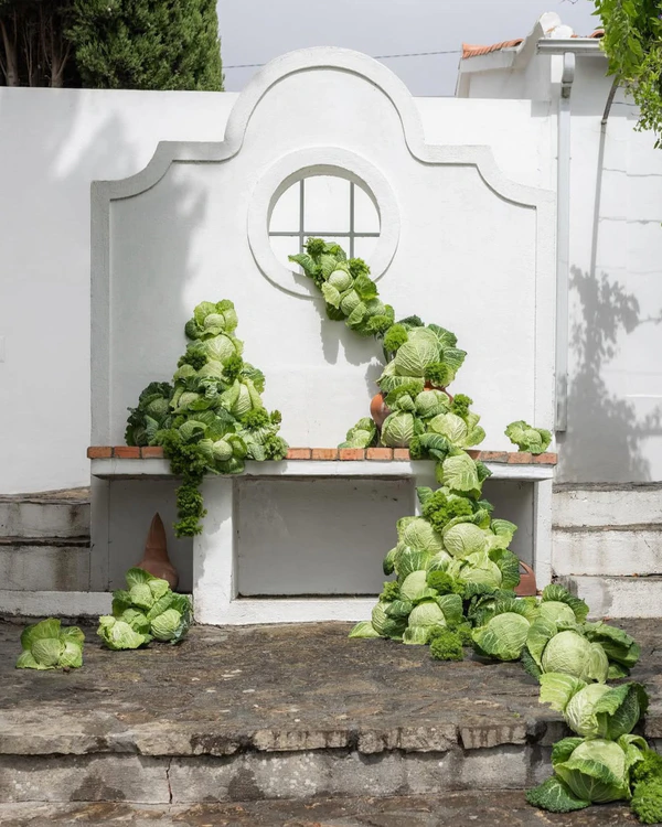 7 Creative Floral Installation & Arrangement Ideas for Modern Couples
