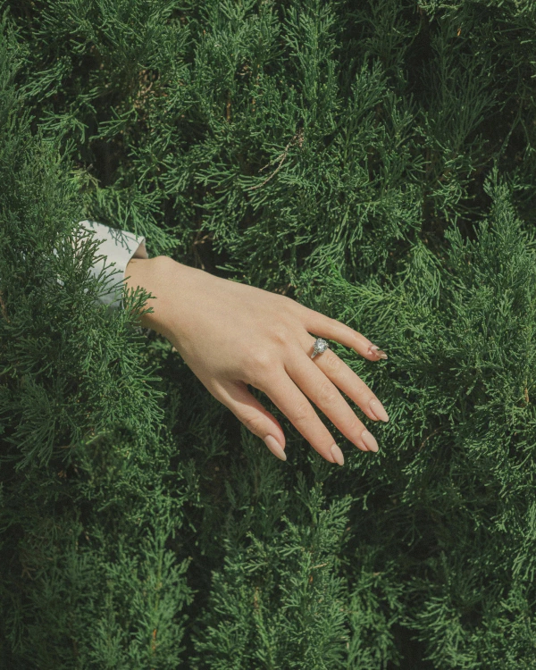 A Dreamy Artistic Celebration in the Byron Bay Hinterland