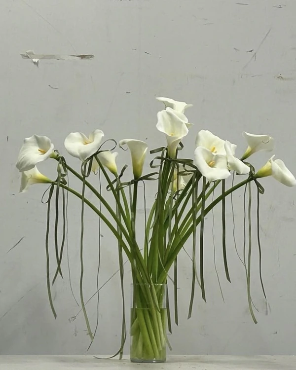 38 Calla Lily Arrangement Ideas