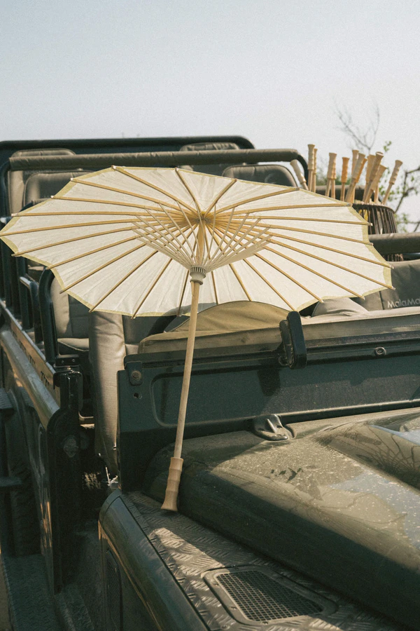 A Wildly Romantic Safari Wedding Weekend in the Heart of South Africa