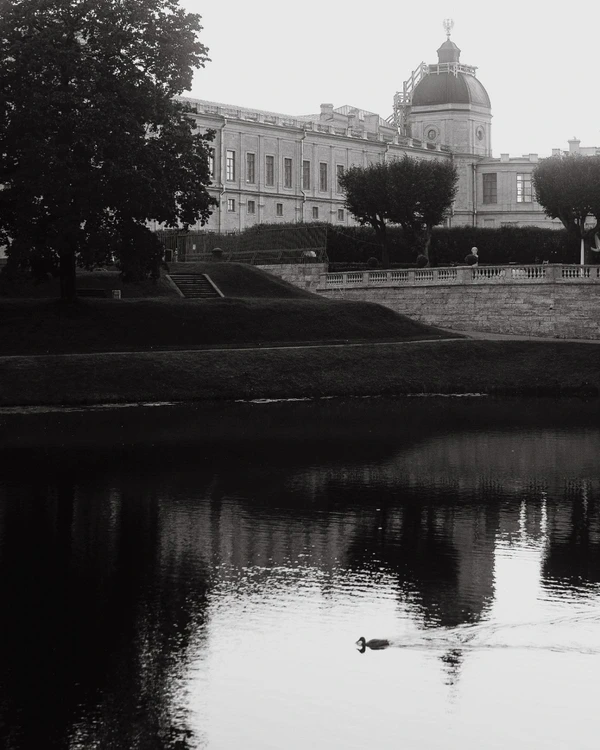 A Pride & Prejudice Inspired Wedding Set in a Romantic 18th-Century Palace Garden