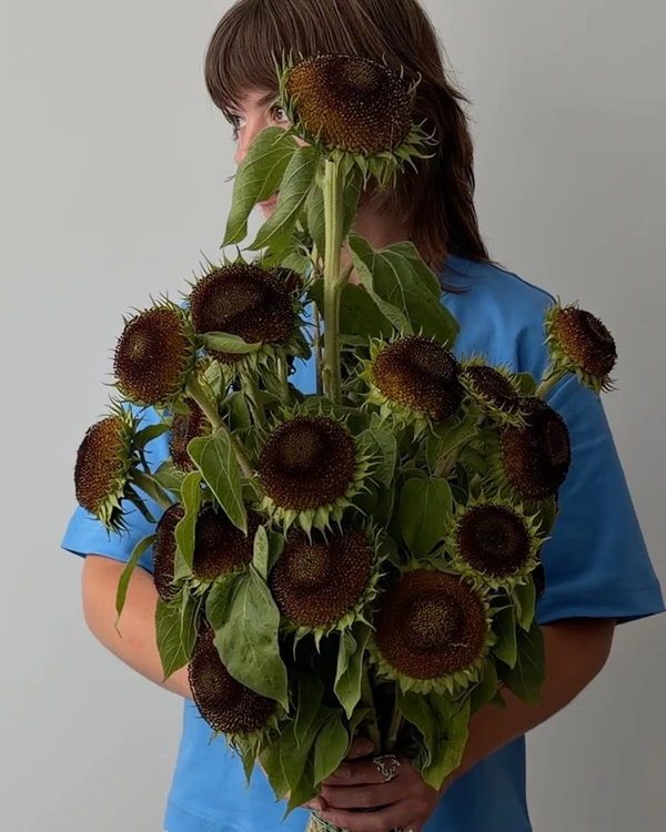 <a href="https://www.instagram.com/p/DbV6GSyDFW4/?img_index=1">Midi Flowers</a>