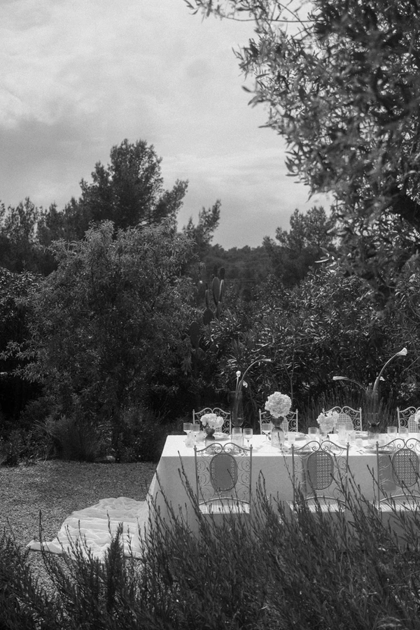 Meet Me Under The Olive Trees
