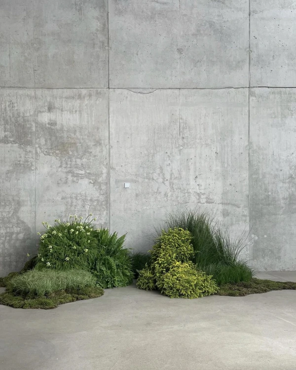 Trend: Overgrown Foliage Installations