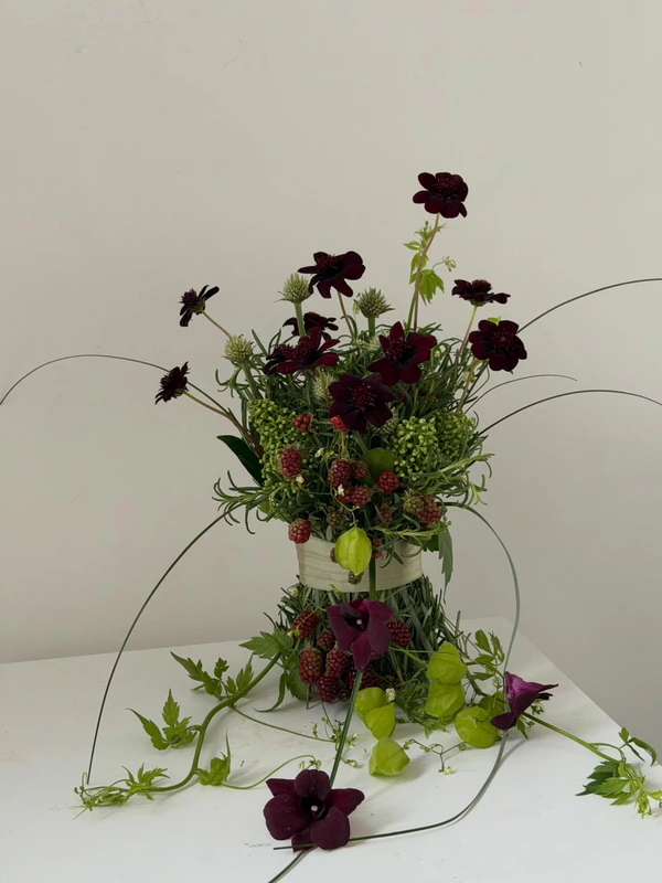 <a href="https://www.instagram.com/p/DZ60AnODyk8/?img_index=5">Médinilla</a>