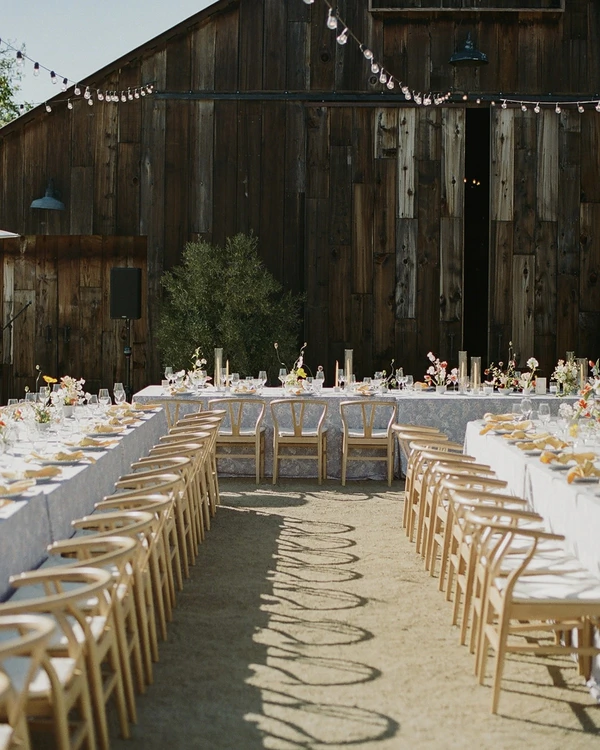 A Captivating Vineyard Wedding in California