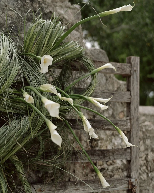 38 Calla Lily Arrangement Ideas