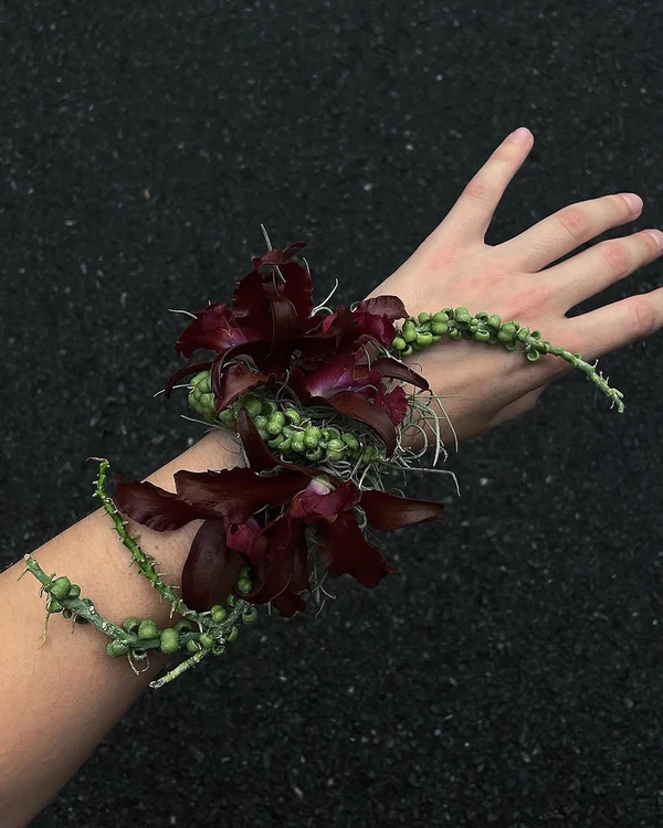 <a href="https://www.instagram.com/p/DGiSdbsSIpa/?img_index=1">Blooms Uncut</a>