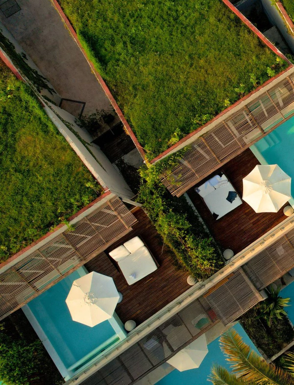 <a href="https://www.instagram.com/p/DVY7vZ5Fnby/?img_index=1">W Punta de Mita</a>