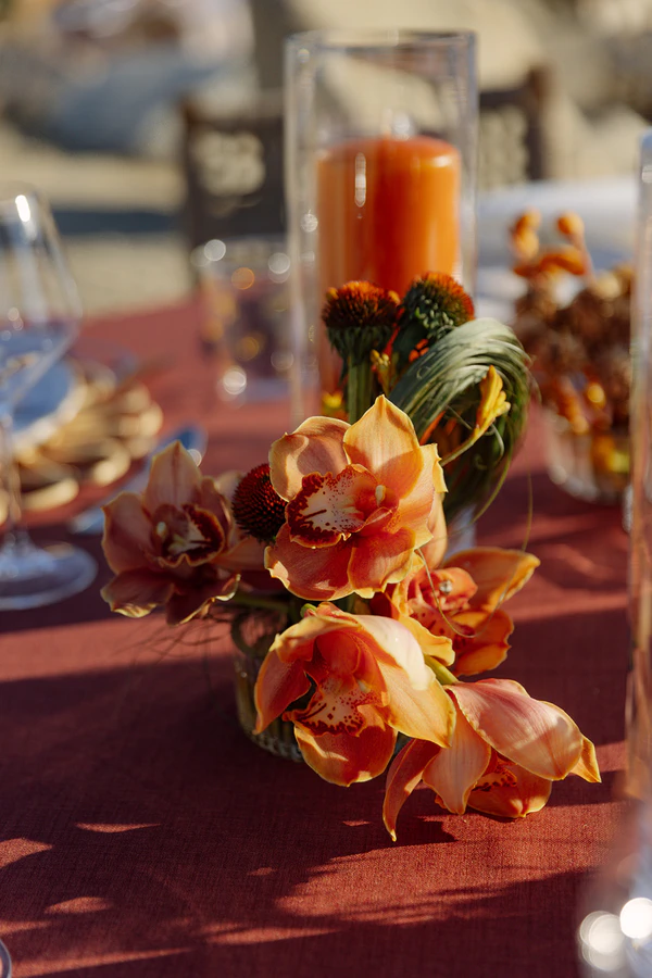 An Architect’s Party-Coded Desert Wedding in Los Cabos