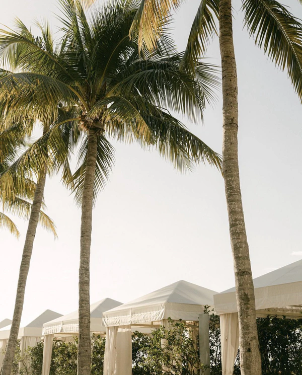 10 Best Wedding Venues in South Florida