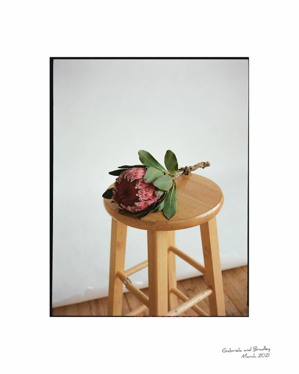 «We believe that each person portrays their way of loving differently» - Love Bears — photo 2