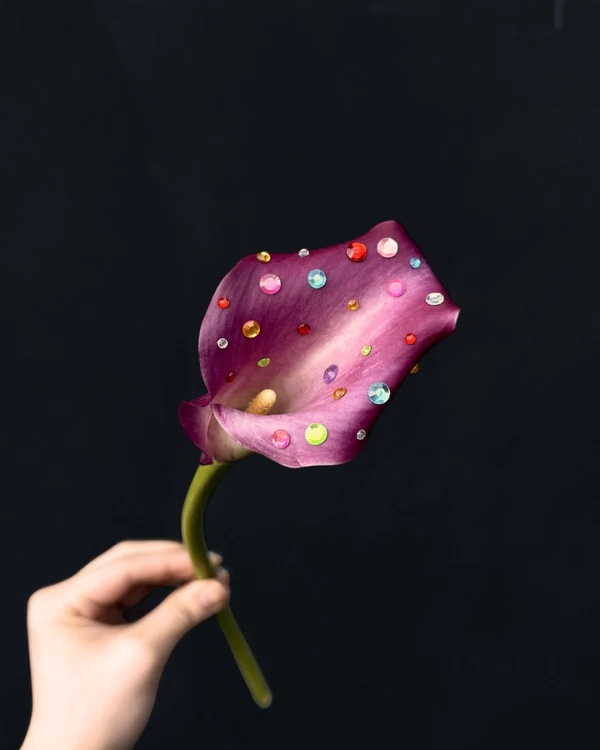<a href="https://www.instagram.com/p/DV9yIAzDwZ6/?img_index=1">The Perfect Petal Boutique</a>