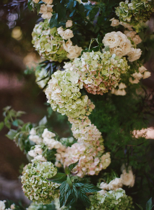 Zach & Dune, wedding photographers in California, USA — portfolio photo 8