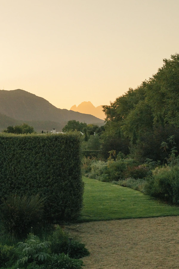 Inside an Artfully Designed Vineyard Wedding Weekend Beneath Table Mountain in South Africa