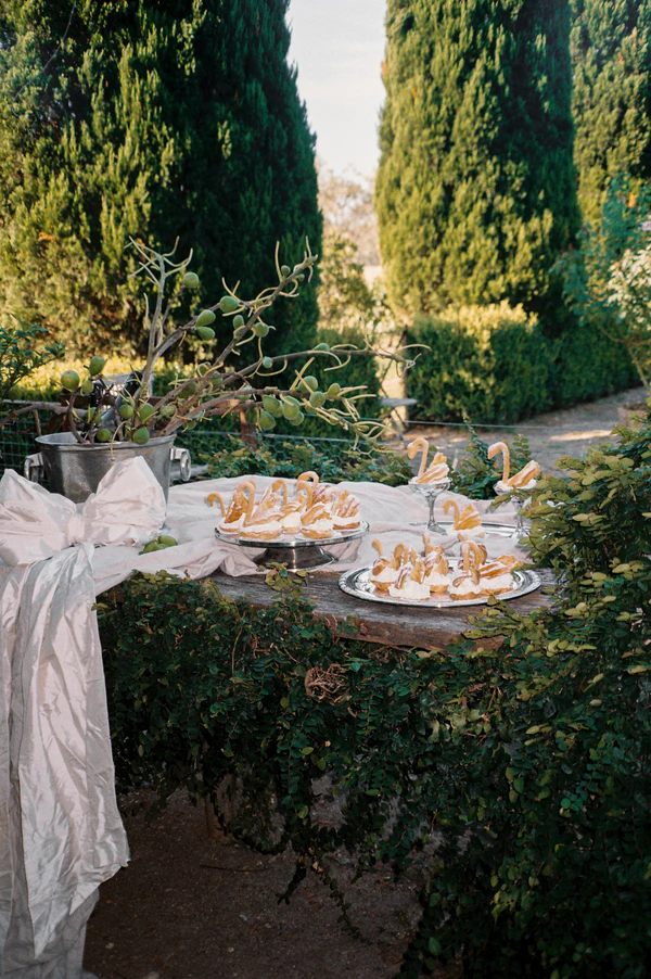 A Garden Romance