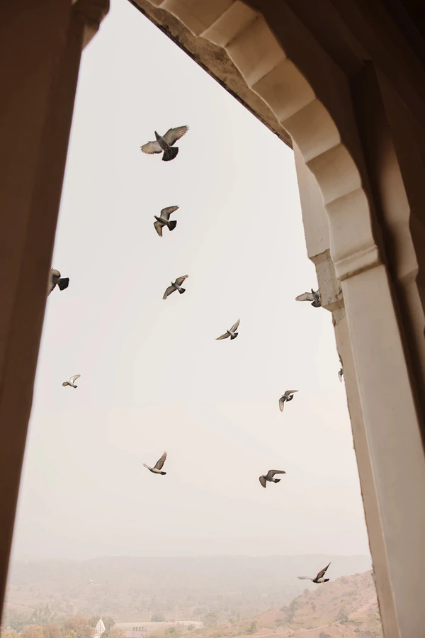 A Chic Indian Wedding at a Romantic 14th-Century Fort in Rajasthan