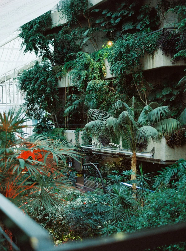 <a href="https://www.barbican.org.uk/hire/venue-hire/weddings">The Barbican Conservatory</a>, Photography: <a href="https://www.instagram.com/dan.mccourt/">Dan McCourt</a>
