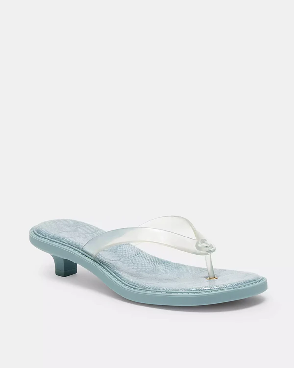 <a href="https://www.coach.com/products/jelly-thong-sandal-in-signature/CEF40.html?frp=CEF40+CKJ++11++B">COACH Jelly Thong Sandal</a>