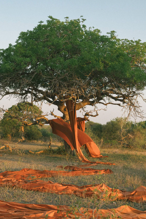 A Wildly Romantic Safari Wedding Weekend in the Heart of South Africa