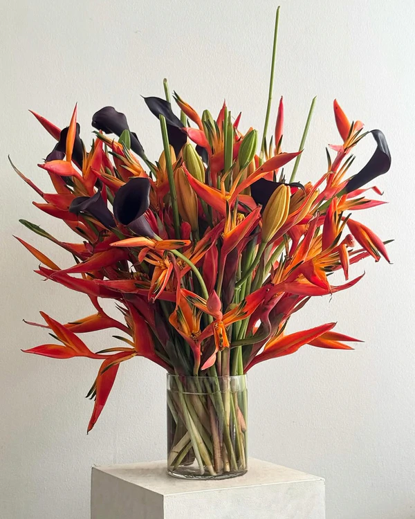<a href="https://www.instagram.com/p/DX34rBcFM79/?img_index=1">Pierre Capati</a>