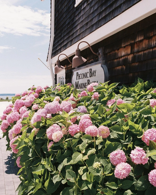 A Stylish Vintage Wedding on Long Island’s North Fork
