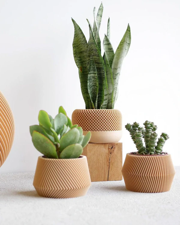 Affordable Gifts Your Guests Will Love