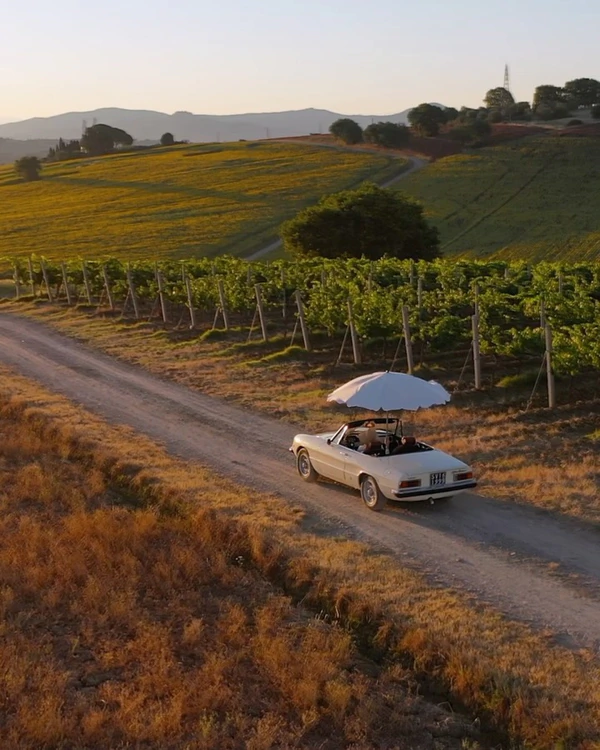 10 Dreamy Vineyard Wedding Venues in Italy for an Unforgettable Celebration — photo 1