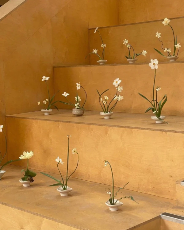 35 Ikebana-Inspired Floral Arrangement Ideas