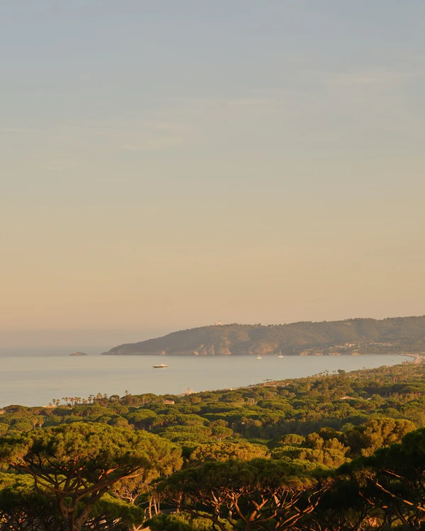The Ultimate South of France Honeymoon Guide: Where to Stay, Eat & Explore — photo 1