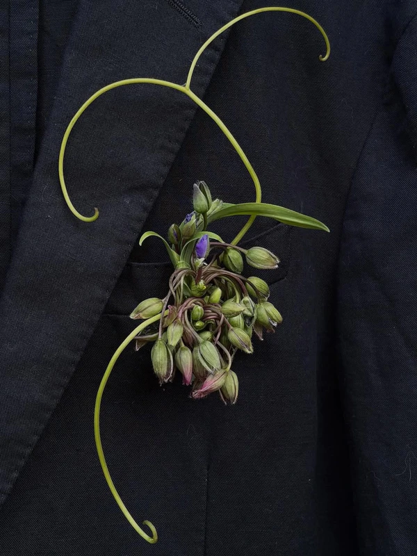 <a href="https://www.instagram.com/p/DZt8_mxDTZs/?img_index=1">Blooms Uncut</a>