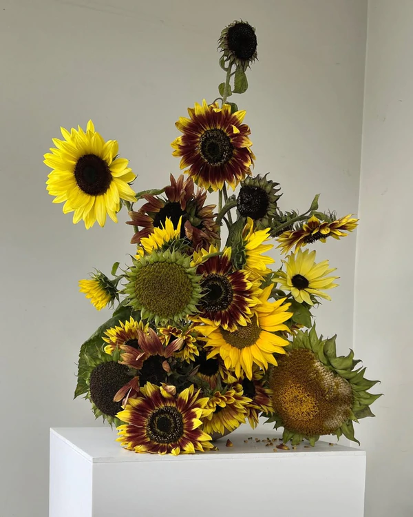 <a href="https://www.instagram.com/p/CuhnS6Hx7_u/?img_index=5"><span>Pül Flower</span></a>