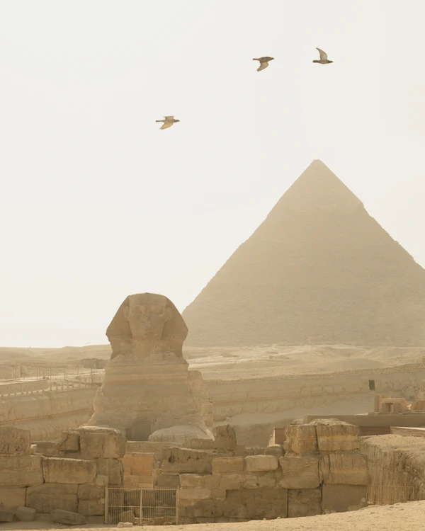 A Refined Multi-Day Wedding with an Iconic Reception at the Pyramids of Giza