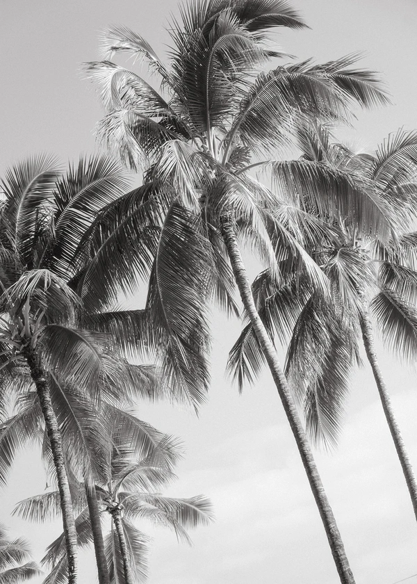 A Bold & Artfully Designed Wedding on the Lush Tropical Shores of Oahu, Hawaii