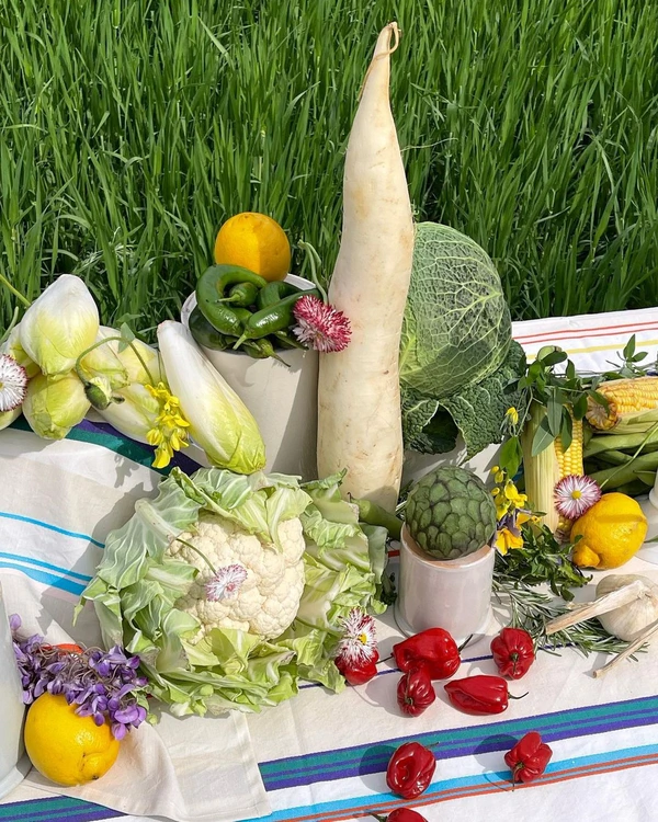 Event Design with Vegetables