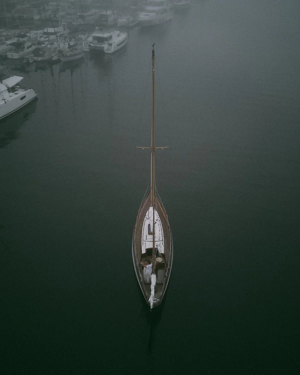 Lovers in the Mist — photo 2