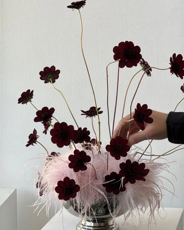 <a href="https://www.instagram.com/p/DWhr01nkrGb/?img_index=1">Evolve Floral</a>