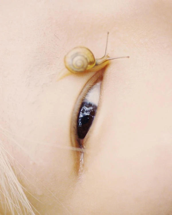 From Snail Slime to Salmon Sperm: The Viral K-Beauty Treatments Brides Must Try — photo 2