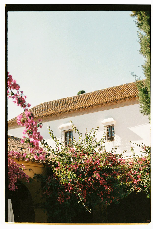 An Artist & Designer’s Art-Driven Spanish Wedding at a 16th-Century Cortijo, Drenched in Citrus and Calla Lilies