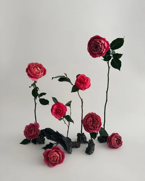 Trend: Artistic Arrangements