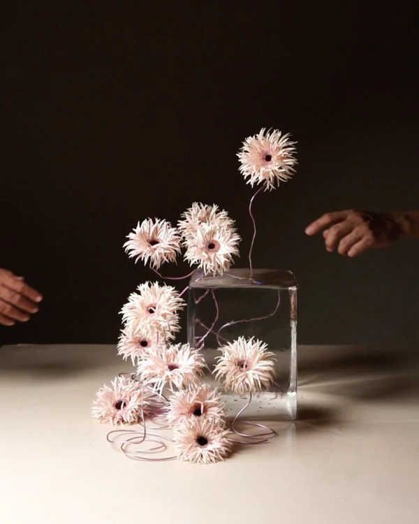 <a href="https://www.instagram.com/p/DUppkcnkbbJ/?img_index=1&amp;igsh=cWg1ZzB6bW05dnBh">Goshá Flowers</a>