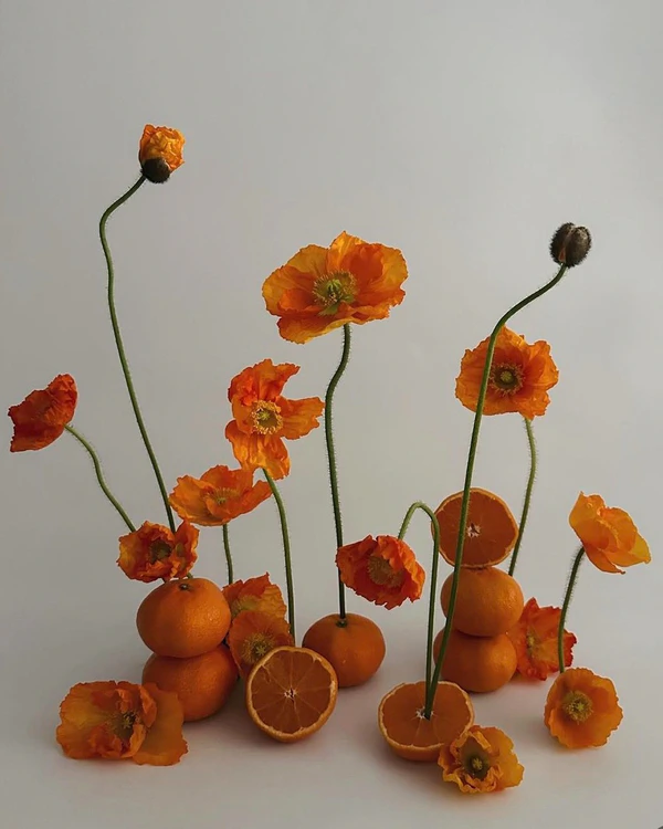 A Guide to the Best Wedding Flower Varieties for Every Season