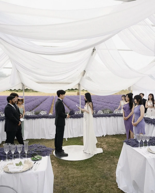 How to Use AI to Create Your Wedding Day Timeline, Playlist, Seating Chart & More