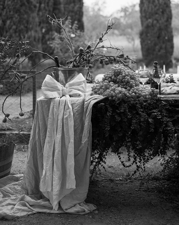 A Garden Romance
