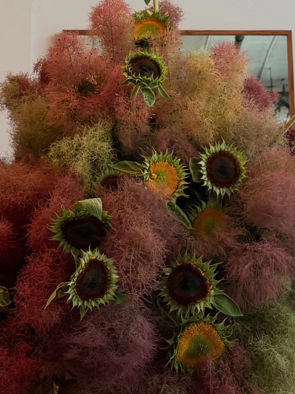 <a href="https://www.instagram.com/p/DZs9oKXkTOH/?img_index=2">Flowers by Ford</a>